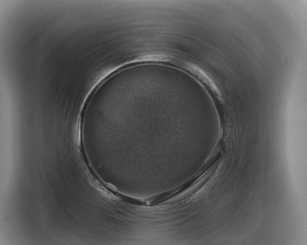 X0000116451276200912081610