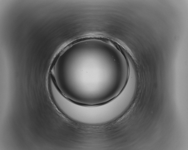 X0000116451277200912081610