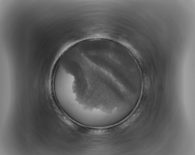 X0000116451278200912081610