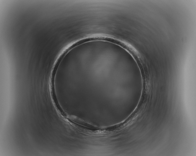 X0000116451279200912081610