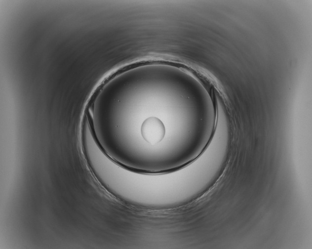 X0000116451280200912081610