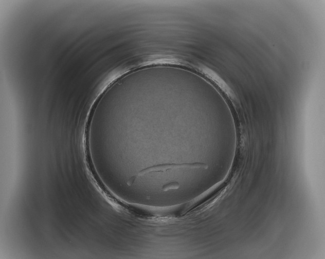 X0000116451282200912081610