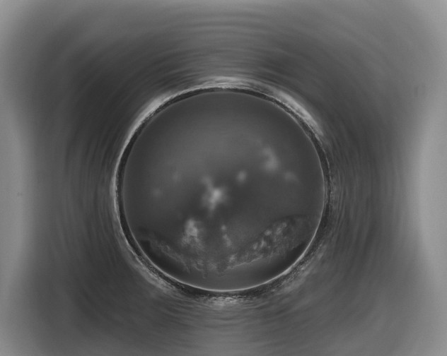 X0000116451283200912081610