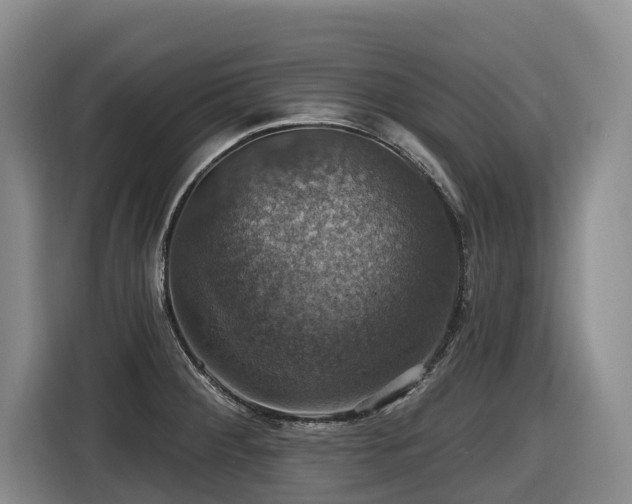 X0000116451284200912081610