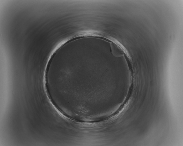X0000116451285200912081610