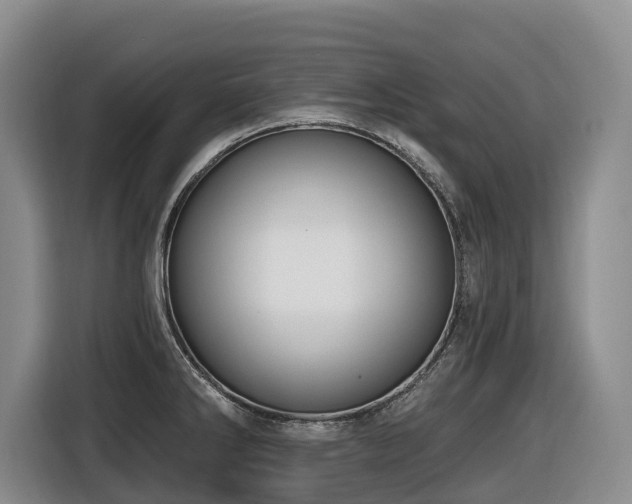 X0000116451286200912081610