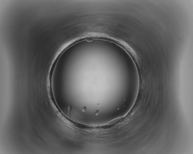 X0000116451287200912081610