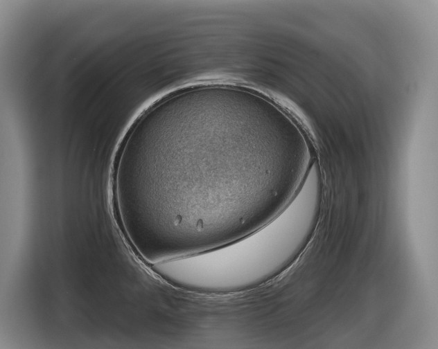 X0000116451288200912081610