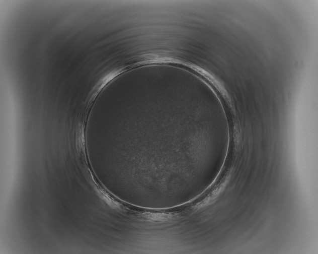 X0000116451289200912081610