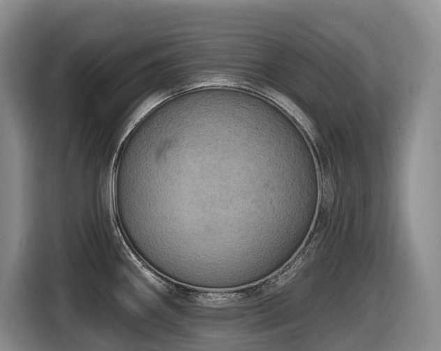 X0000116451290200912081610