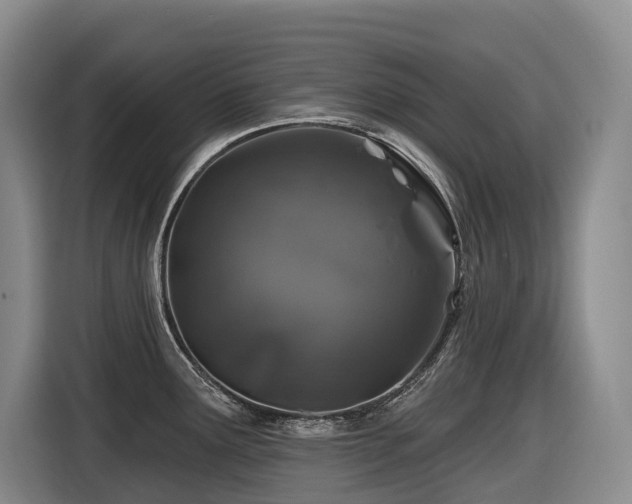 X0000116451291200912081610