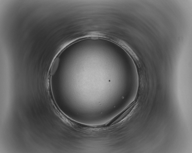X0000116451292200912081610