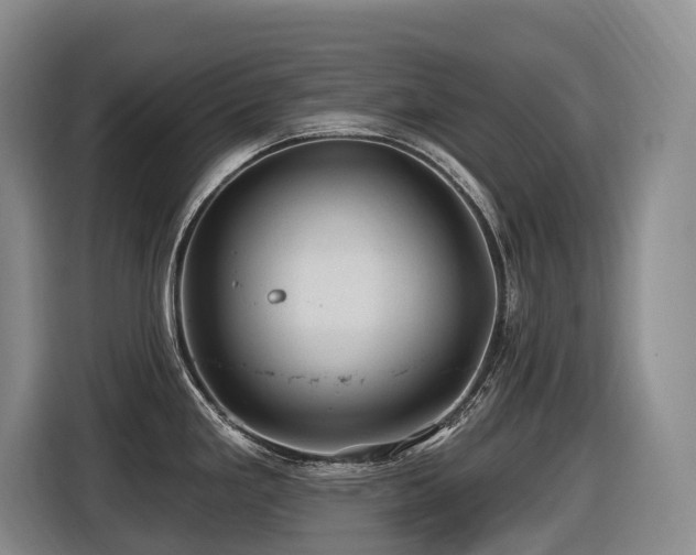 X0000116451293200912081610