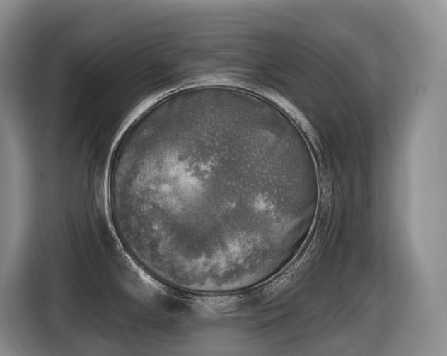 X0000116451294200912081610