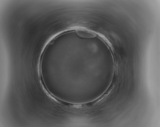 X0000116451295200912081610