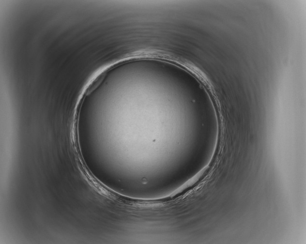 X0000116451296200912081610