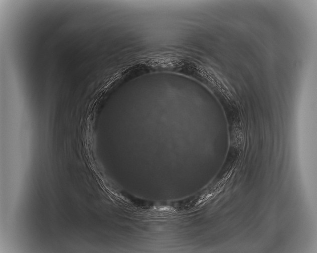 X0000116451297200912081609