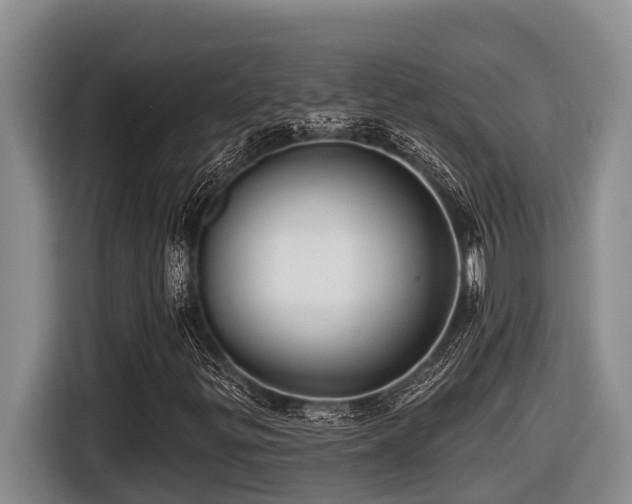 X0000116451299200912081609