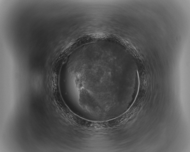 X0000116451301200912081609