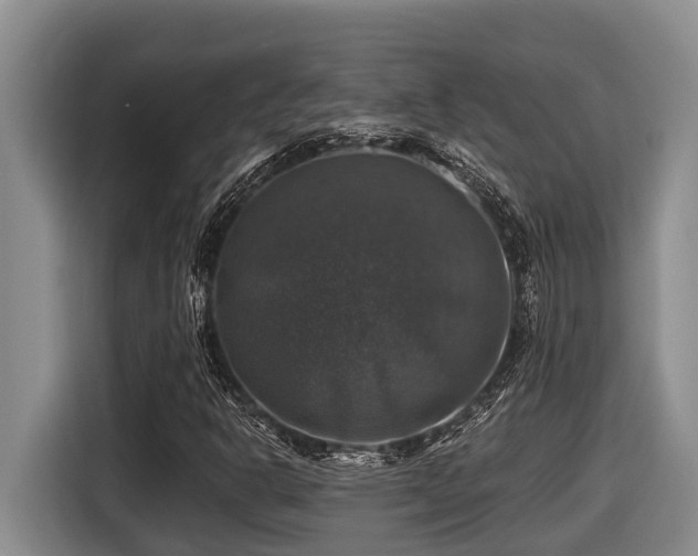 X0000116451302200912081609