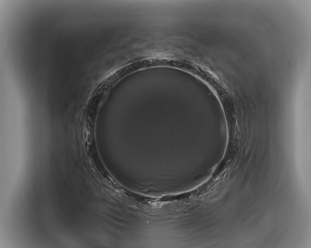 X0000116451303200912081609