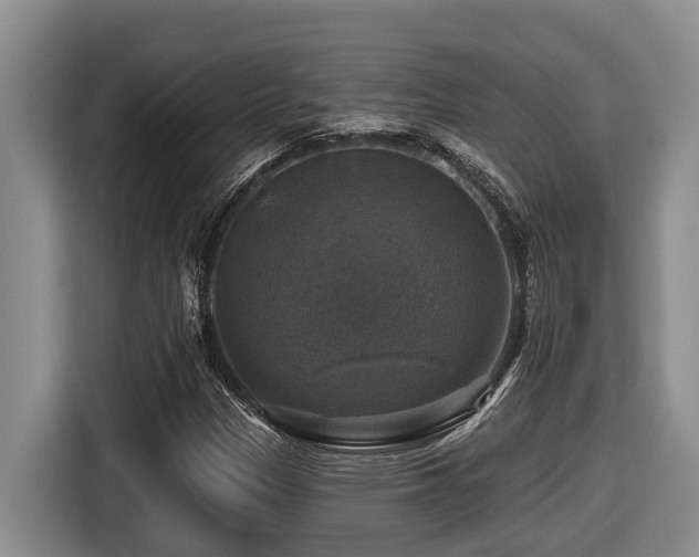 X0000116451305200912081609