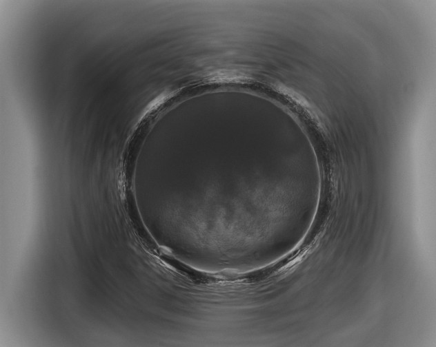 X0000116451306200912081609