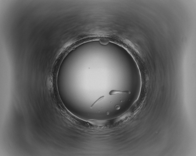 X0000116451307200912081609