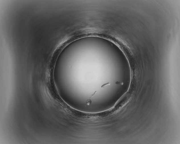 X0000116451309200912081609