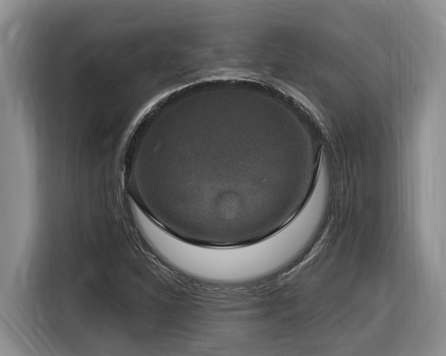 X0000116451310200912081609
