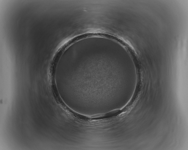 X0000116451311200912081609