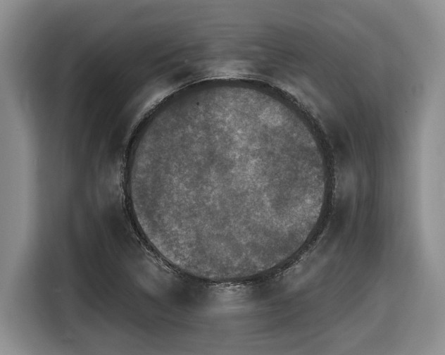 X0000116451314200912081609