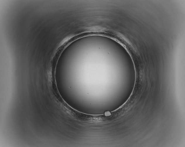 X0000116451315200912081609