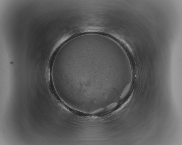 X0000116451317200912081609