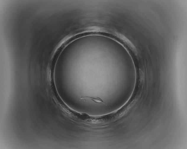 X0000116451318200912081609
