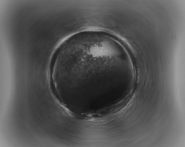 X0000116451319200912081610