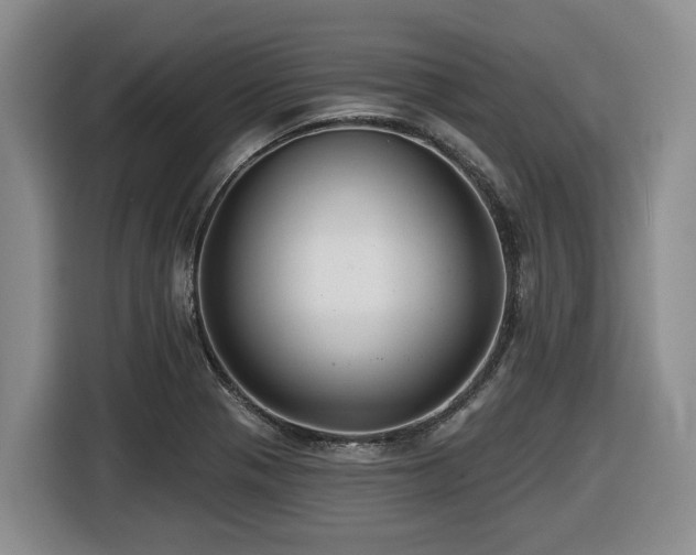 X0000116451321200912081610