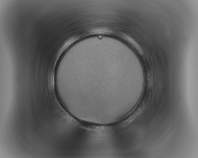 X0000116451322200912081610