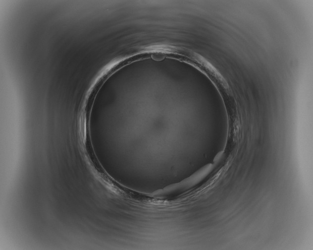 X0000116451323200912081610