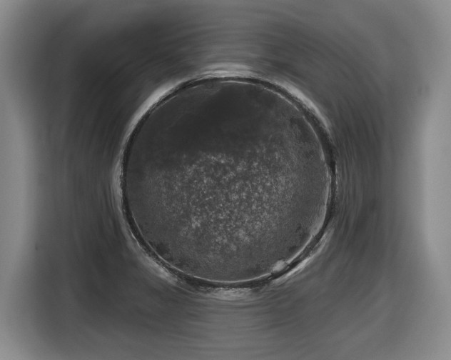 X0000116451325200912081610