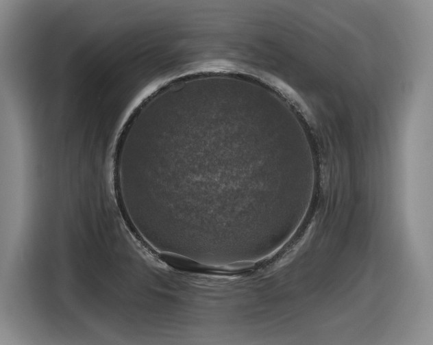 X0000116451326200912081610