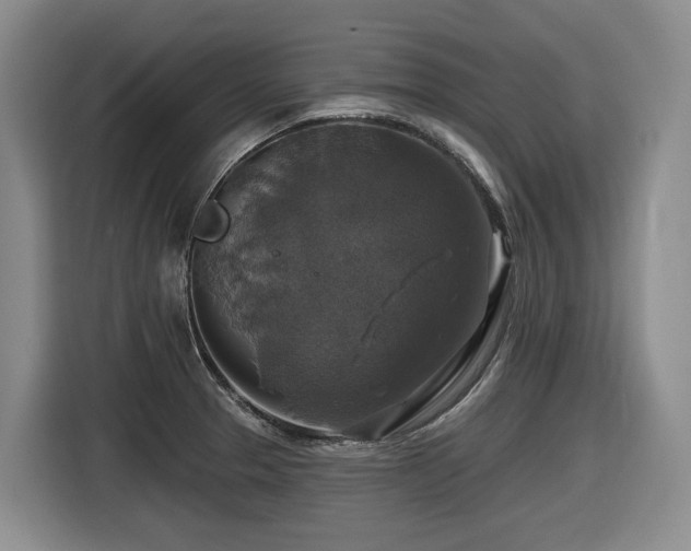 X0000116451329200912081610
