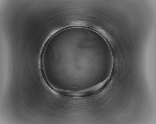 X0000116451331200912081610