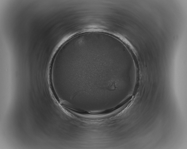 X0000116451333200912081610