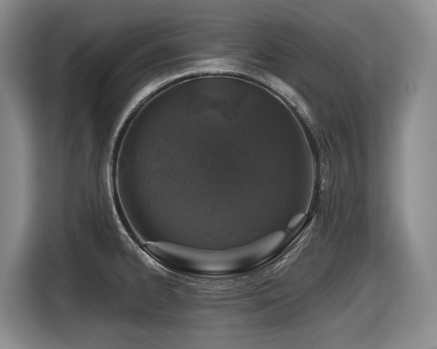 X0000116451334200912081610