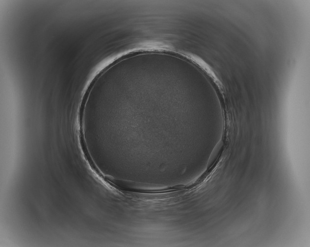 X0000116451335200912081610