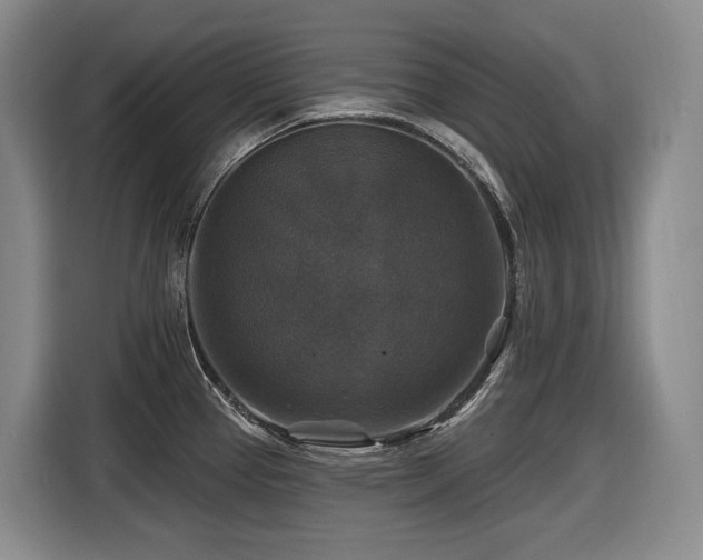 X0000116451337200912081610