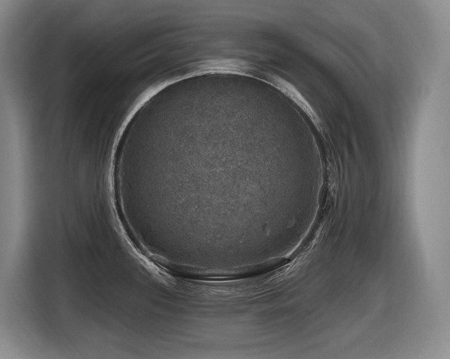 X0000116451339200912081610