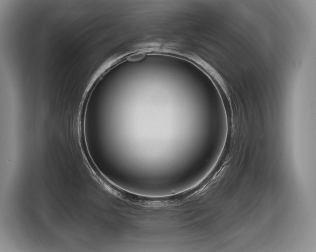 X0000116451341200912081610