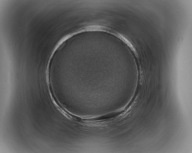 X0000116451342200912081610